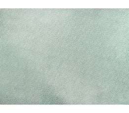 BP2917