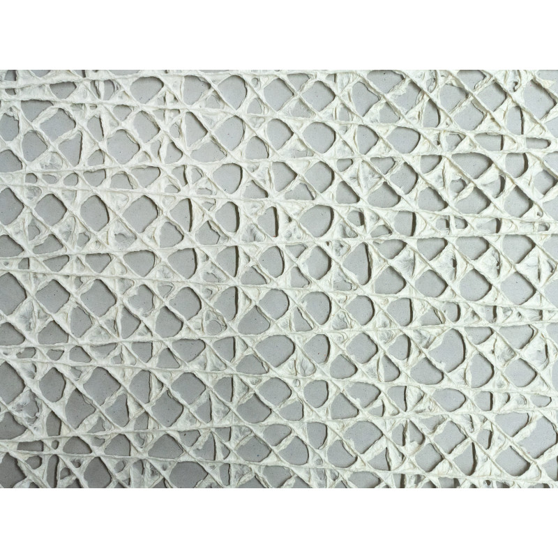 BS221F01