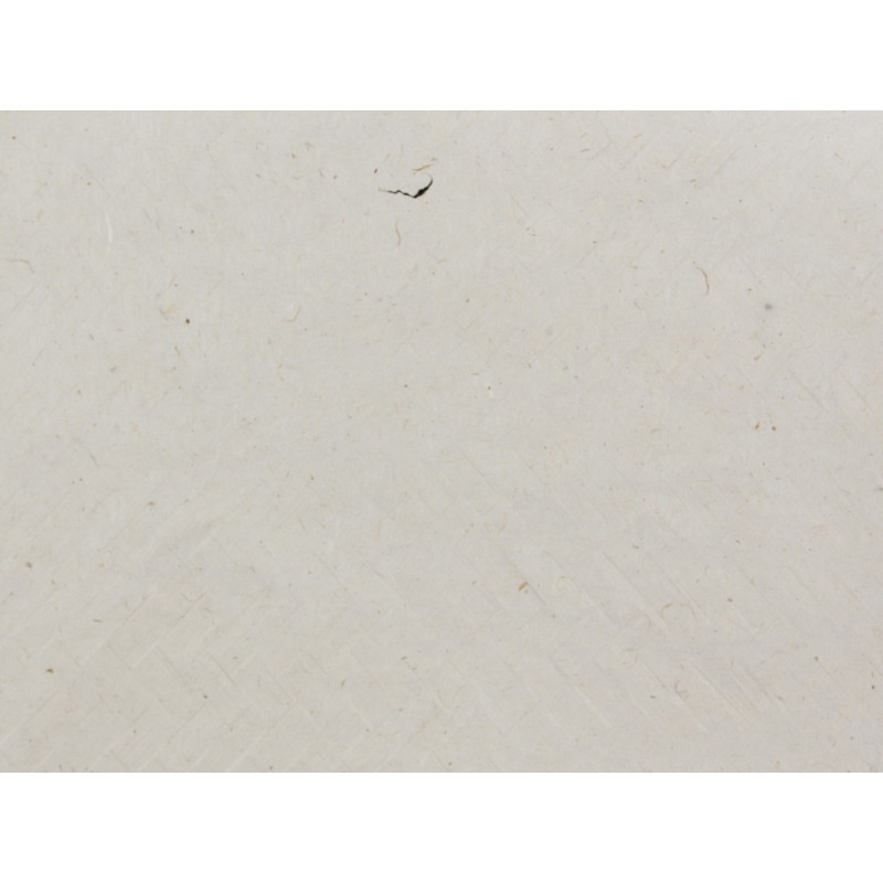 BS241F02