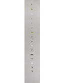 V2161F61